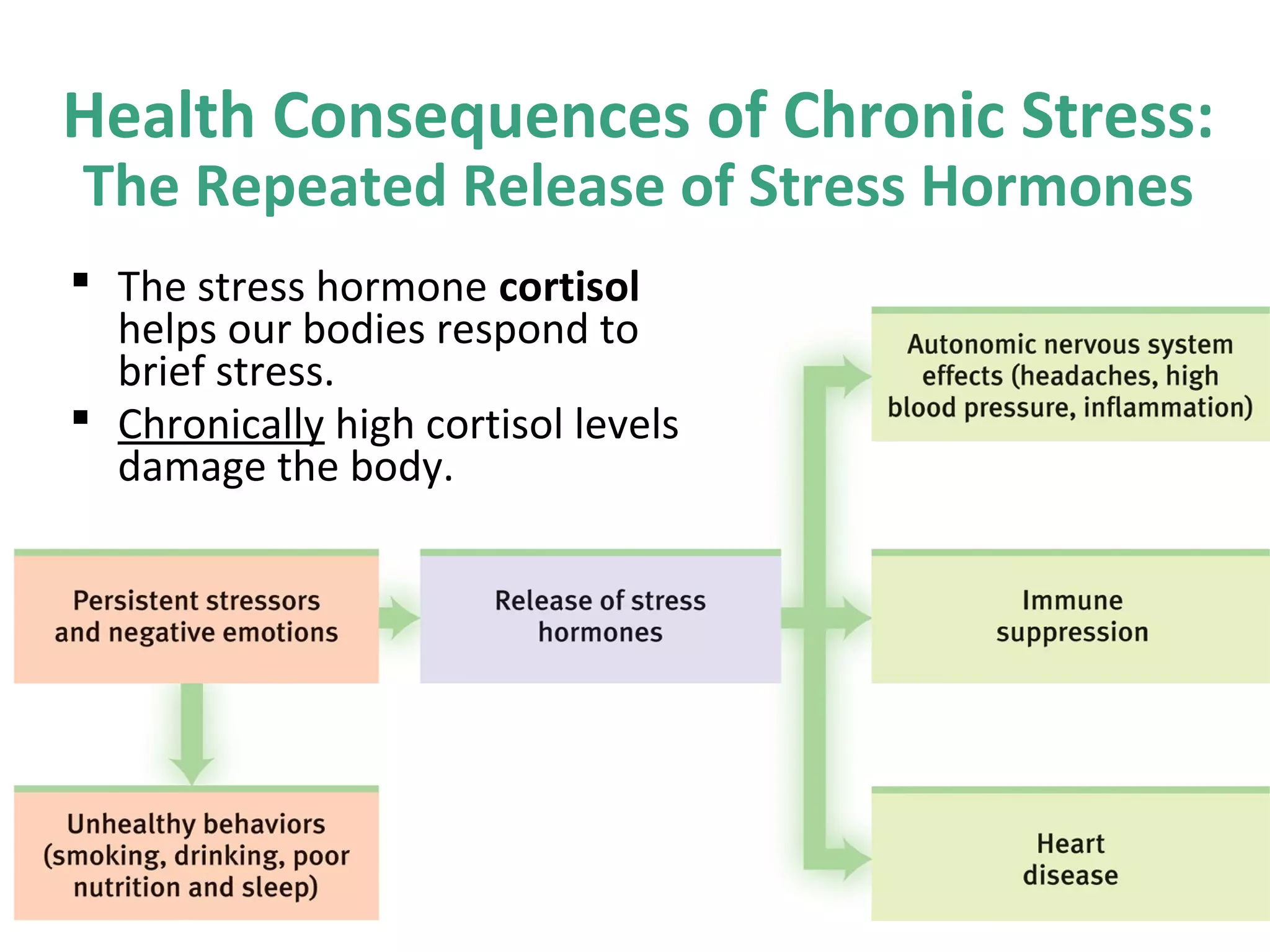 Health Consequences of Chronic Stress:
The Repeated Release of Stress Hormones
 The stress hormone cortisol
helps our bodies respond to
brief stress.
 Chronically high cortisol levels
damage the body.
 