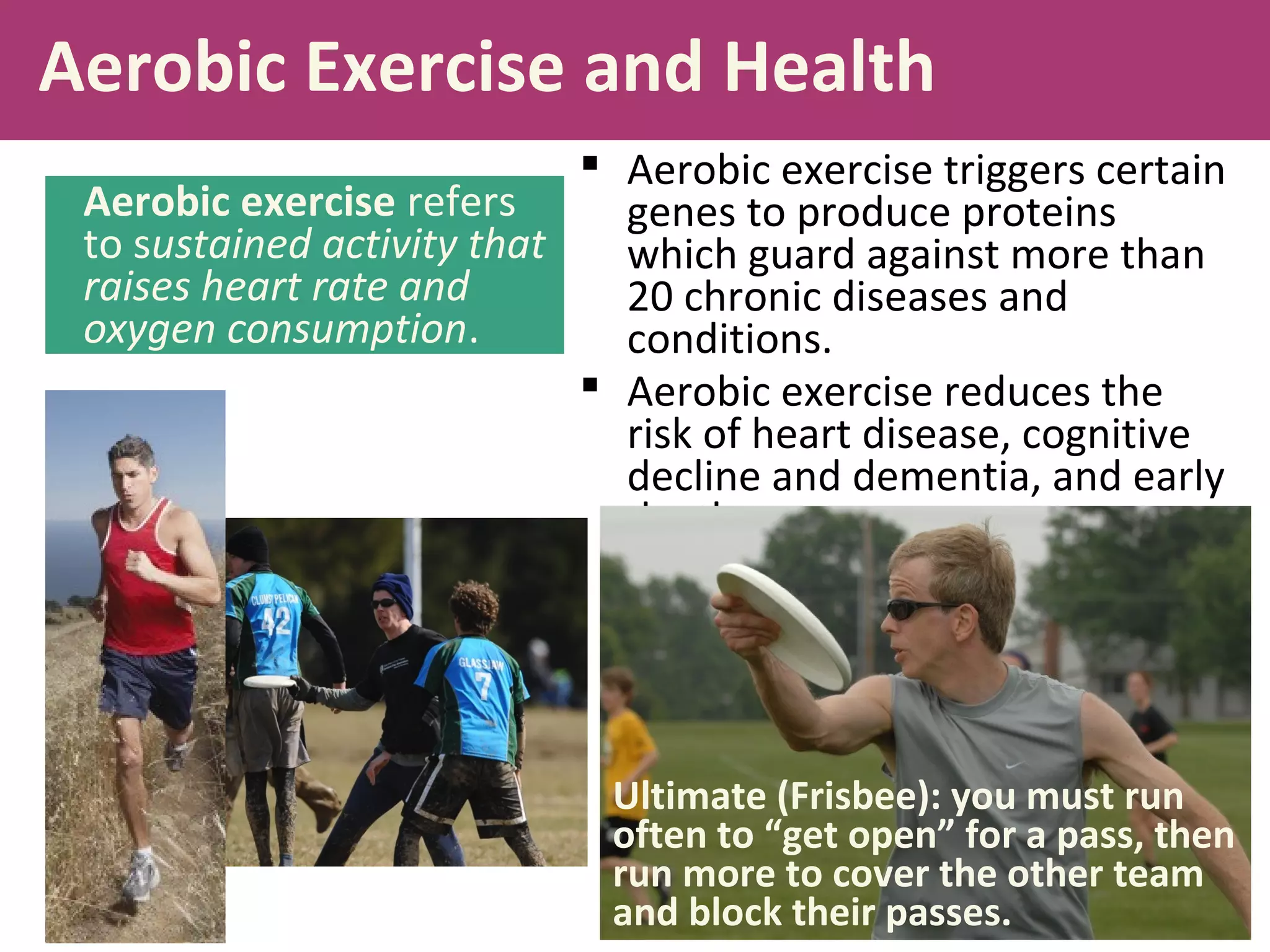 Aerobic Exercise and Health
 Aerobic exercise triggers certain
genes to produce proteins
which guard against more than
20 chronic diseases and
conditions.
 Aerobic exercise reduces the
risk of heart disease, cognitive
decline and dementia, and early
death.
Aerobic exercise refers
to sustained activity that
raises heart rate and
oxygen consumption.
Ultimate (Frisbee): you must run
often to “get open” for a pass, then
run more to cover the other team
and block their passes.
 