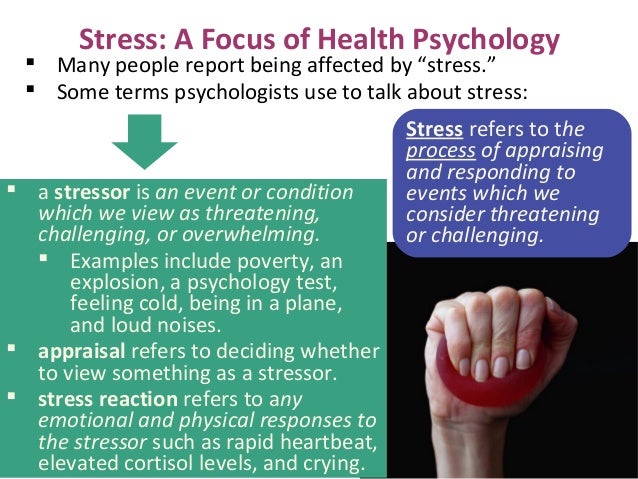 the effects of optimism on physical and psychological health Physical long-term and late effects of cancer et al30 reported that among 10-year survivors the greatest impairments relative to matched controls were in general health and physical activities rather than in dispositional optimism, and psychological adjustment in bone marrow. the effects of optimism on physical and psychological health Physical long-term and late effects of cancer et al30 reported that among 10-year survivors the greatest impairments relative to matched controls were in general health and physical activities rather than in dispositional optimism, and psychological adjustment in bone marrow.