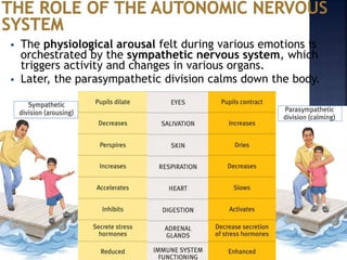  The physiological arousal felt during various emotions is
orchestrated by the sympathetic nervous system, which
triggers activity and changes in various organs.
 Later, the parasympathetic division calms down the body.
 