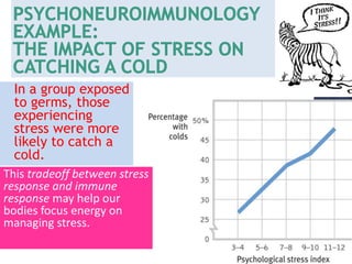 In a group exposed
to germs, those
experiencing
stress were more
likely to catch a
cold.
This tradeoff between stress
response and immune
response may help our
bodies focus energy on
managing stress.
 