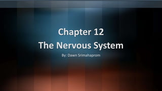 Chapter 12
The Nervous System
By: Dawn Srimahaprom
 