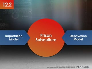 © 2013 by Pearson Higher Education, Inc
Upper Saddle River, New Jersey 07458 • All Rights Reserved
© 2013 by Pearson Higher Education, Inc
Upper Saddle River, New Jersey 07458 • All Rights Reserved
Total
Institutions
Prison
Subculture
Importation
Model
Deprivation
Model
12.2
 