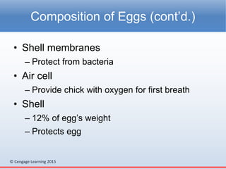 © Cengage Learning 2015
• Shell membranes
– Protect from bacteria
• Air cell
– Provide chick with oxygen for first breath
• Shell
– 12% of egg’s weight
– Protects egg
Composition of Eggs (cont’d.)
 