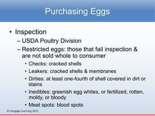 © Cengage Learning 2015
• Inspection
– USDA Poultry Division
– Restricted eggs: those that fail inspection &
are not sold whole to consumer
• Checks: cracked shells
• Leakers: cracked shells & membranes
• Dirties: at least one-fourth of shell covered in dirt or
stains
• Inedibles: greenish egg whites, or fertilized, rotten,
moldy, or bloody
• Meat spots: blood spots
Purchasing Eggs
 