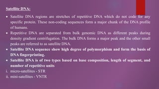 Satellite DNA:
 Satellite DNA regions are stretches of repetitive DNA which do not code for any
specific protein. These non-coding sequences form a major chunk of the DNA profile
of humans.
 Repetitive DNA are separated from bulk genomic DNA as different peaks during
density gradient centrifugation. The bulk DNA forms a major peak and the other small
peaks are referred to as satellite DNA.
 Satellite DNA sequence show high degree of polymorphism and form the basis of
DNA fingerprinting.
 Satellite DNA is of two types based on base composition, length of segment, and
number of repetitive units
i. micro-satellites - STR
ii. mini-satellites - VNTR
 