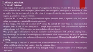 DNA Fingerprinting Uses:
 To Identify Criminal:
This process is frequently used in criminal investigations to determine whether blood or tissue samples
found at crime scenes could belong to a given suspect. The small profile on the place of occurrence of crime
or profile from the specimen of victim of a crime is compared with the map obtained from the blood or
organic specimen of a suspected person.
To perform the DNA test, the first requirement is an organic specimen. Bone of a person, teeth, hair, blood,
saliva, semen can serve as valuable organic specimens.
In this process, first forms of specimen DNA should be isolated. By more than one small restriction
enzymes, DNA is then cut into many pieces. Through a special method called (electrophoresis agarose or
polyaxialamaid gel), DNA fragments are separated alongside their length.
On a special type of nitrocellulose paper, the radioactive isotope hybridized with DNA and keeping it on x-
ray film through the method of autoradiogrphy visible rows of bands are determined and with the specimen
from the place of occurrence and suspected specimen, it is compared. This method is called DNA finger
printing.
 This technology is also used in paternity tests, where comparison of DNA markers can show whether a
child could have inherited their markers from the suspected father.
 It is used to determine the gender of badly damaged bodies of accident victims or of archaeological
specimens.
 