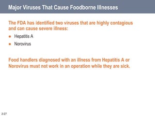 2-28
Major Viruses That Cause Foodborne Illness
Virus: Hepatitis A (HEP-a-TI-tiss)
Source: Human feces
Food Linked with th...