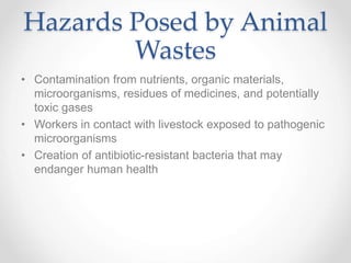Hazards Posed by Animal
Wastes
• Contamination from nutrients, organic materials,
microorganisms, residues of medicines, and potentially
toxic gases
• Workers in contact with livestock exposed to pathogenic
microorganisms
• Creation of antibiotic-resistant bacteria that may
endanger human health
 