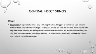 Chapter 12.first aid bites and stings.pptx