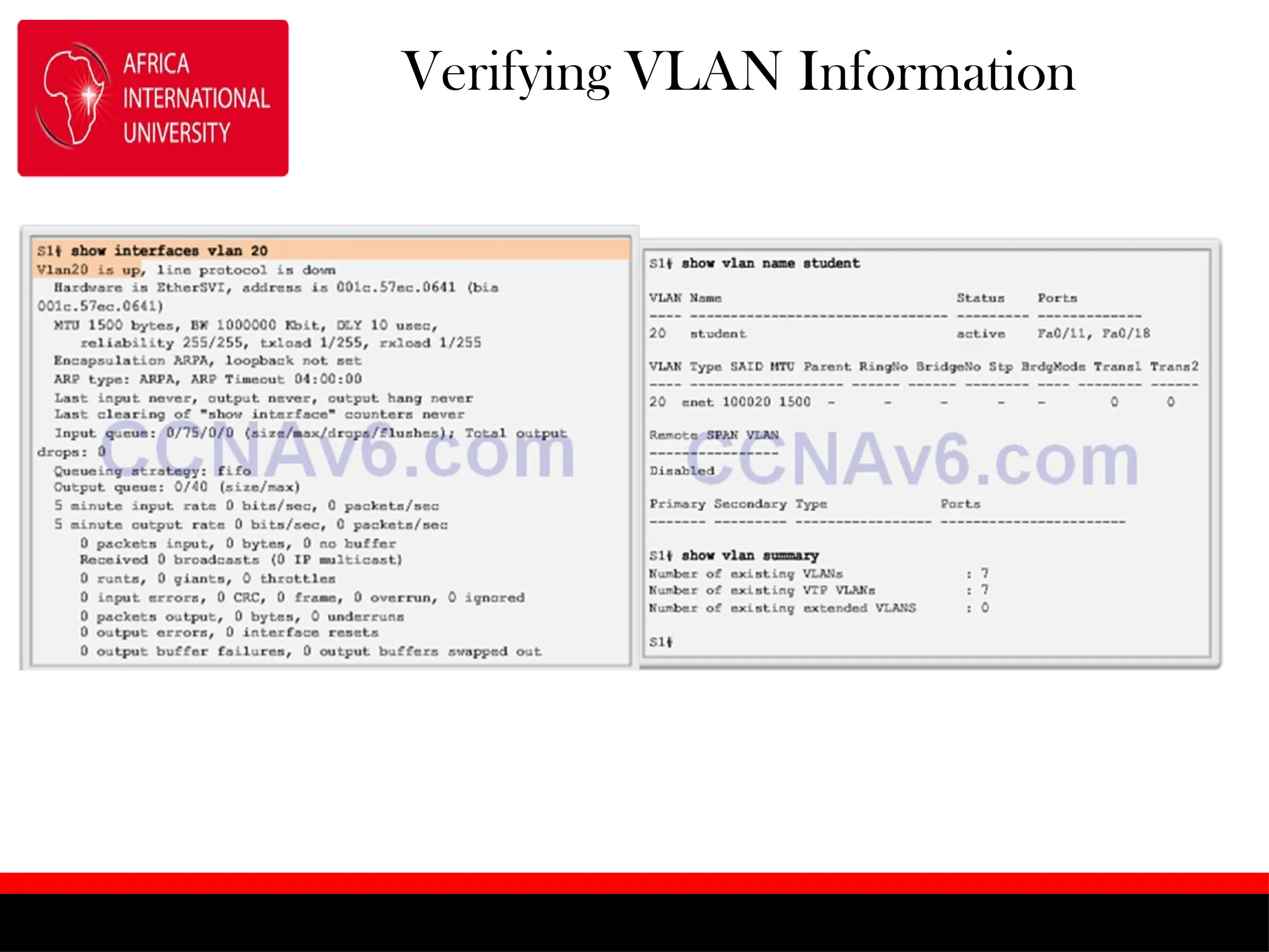 Verifying VLAN Information
 
