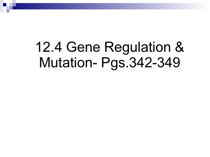 chapter 12 4 gene regulation mutation relate gene regulation and mutations