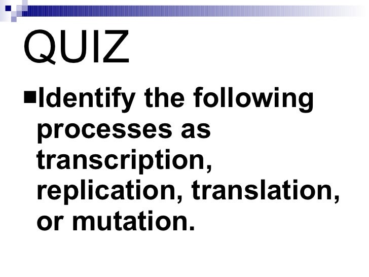 chapter 12 4 gene regulation mutation relate gene regulation and mutations