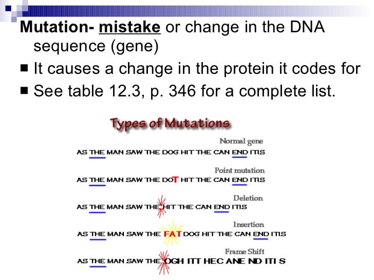 chapter 12 4 gene regulation mutation relate gene regulation and mutations