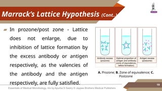 Postzone Comprehensive Overview of Antigen–Antibody Reactions and Immunoassays ...