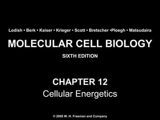 MOLECULAR CELL BIOLOGY
SIXTH EDITION
Copyright 2008 © W. H. Freeman and Company
CHAPTER 12
Cellular Energetics
Lodish • Berk • Kaiser • Krieger • Scott • Bretscher •Ploegh • Matsudaira
© 2008 W. H. Freeman and Company
 