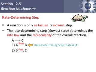 Section 12.5
Reaction Mechanisms
Rate-Determining Step
 A reaction is only as fast as its slowest step.
 The rate-determining step (slowest step) determines the
rate law and the molecularity of the overall reaction.
A C
1) A B Rate-Determining Step: Rate=k[A]
2) B C
40
Fast
Slow
 
