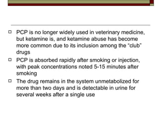 PCP is no longer widely used in veterinary medicine, but ketamine is, and ketamine abuse has become more common due to its inclusion among the “club” drugs PCP is absorbed rapidly after smoking or injection, with peak concentrations noted 5-15 minutes after smoking The drug remains in the system unmetabolized for more than two days and is detectable in urine for several weeks after a single use 