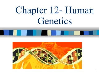 Chapter 12- Human Genetics 
