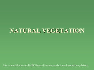 NATURAL VEGETATION




http://www.slideshare.net/TanBK/chapter-11-weather-and-climate-lesson-slides-published
 