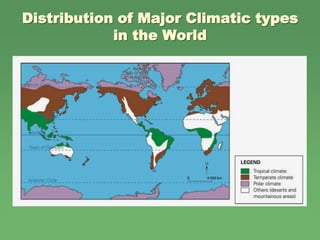 distribution of natural vegetation in the world