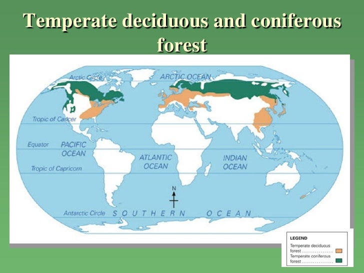 Chapter 12 Natural Vegetation