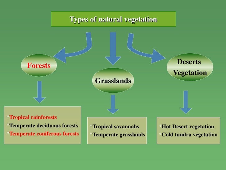 Chapter 12 Natural Vegetation