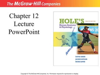 Copyright © The McGraw-Hill Companies, Inc. Permission required for reproduction or display. Chapter 12 Lecture PowerPoint 