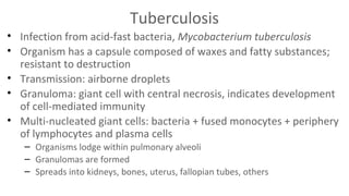 Tuberculosis
• Infection from acid-fast bacteria, Mycobacterium tuberculosis
• Organism has a capsule composed of waxes and fatty substances;
resistant to destruction
• Transmission: airborne droplets
• Granuloma: giant cell with central necrosis, indicates development
of cell-mediated immunity
• Multi-nucleated giant cells: bacteria + fused monocytes + periphery
of lymphocytes and plasma cells
– Organisms lodge within pulmonary alveoli
– Granulomas are formed
– Spreads into kidneys, bones, uterus, fallopian tubes, others

 