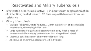 Reactivated and Miliary Tuberculosis
• Reactivated tuberculosis: active TB in adults from reactivation of an
old infection; healed focus of TB flares up with lowered immune
resistance
• Miliary tuberculosis
– Multiple foci (small, white nodules, 1-2 mm in diameter) of disseminated
tuberculosis, resembling millet seeds
– Large numbers of organisms disseminated in body when a mass of
tuberculous inflammatory tissue erodes into a large blood vessel
– Extensive consolidation of one or more lobes of lung
– At-risk: AIDS and immunocompromised individuals

 