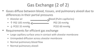 Gas Exchange (2 of 2)
• Gases diffuse between blood, tissues, and pulmonary alveoli due to
differences in their partial pressures
– Alveolar air
– ↑ P02 105 mmHg
– ↓ PC02 35 mmHg

Blood (Pulm capillaries)
P02 20 mmHg
PC02 60 mmHg

• Requirements for efficient gas exchange
–
–
–
–

Large capillary surface area in contact with alveolar membrane
Unimpeded diffusion across alveolar membrane
Normal pulmonary blood flow
Normal pulmonary alveoli

 