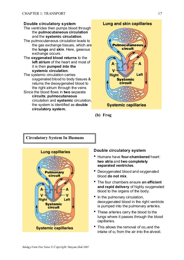 Chapter Transport Biology SPM