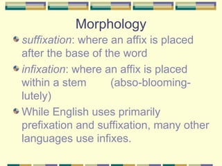 Infixiation Examples Chapter_1_2 (1).ppt This document defines and provides examples of ...