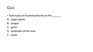 Quiz
• Taste buds are located primarily on the ______.
A. upper palate
B. tongue
C. gums
D. turbinates of the nose
E. uvula
 