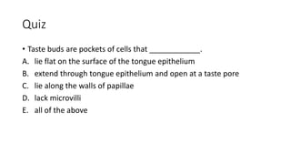Quiz
• Taste buds are pockets of cells that ____________.
A. lie flat on the surface of the tongue epithelium
B. extend through tongue epithelium and open at a taste pore
C. lie along the walls of papillae
D. lack microvilli
E. all of the above
 