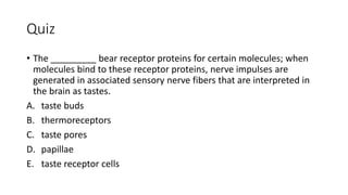 Quiz
• The _________ bear receptor proteins for certain molecules; when
molecules bind to these receptor proteins, nerve impulses are
generated in associated sensory nerve fibers that are interpreted in
the brain as tastes.
A. taste buds
B. thermoreceptors
C. taste pores
D. papillae
E. taste receptor cells
 