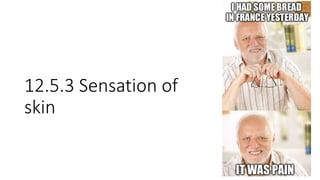 12.5.3 Sensation of
skin
 