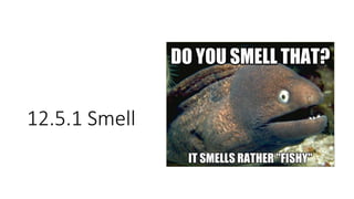 12.5.1 Smell
 