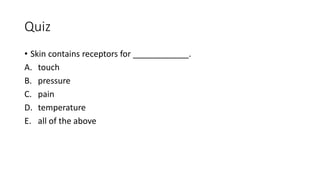 Quiz
• Skin contains receptors for ____________.
A. touch
B. pressure
C. pain
D. temperature
E. all of the above
 