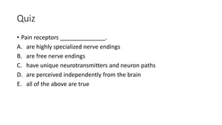 Quiz
• Pain receptors ______________.
A. are highly specialized nerve endings
B. are free nerve endings
C. have unique neurotransmitters and neuron paths
D. are perceived independently from the brain
E. all of the above are true
 