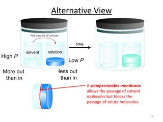 28
High P
Low P
solvent solution
time
More out
than in
less out
than in
Alternative View
A semipermeable membrane
allows the passage of solvent
molecules but blocks the
passage of solute molecules.
 