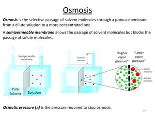29
Osmosis is the selective passage of solvent molecules through a porous membrane
from a dilute solution to a more concentrated one.
A semipermeable membrane allows the passage of solvent molecules but blocks the
passage of solute molecules.
Osmosis
Pure
Solvent Solution
“Higher
vapor
pressure”
“Lower
vapor
pressure”
Osmotic pressure (p) is the pressure required to stop osmosis.
 