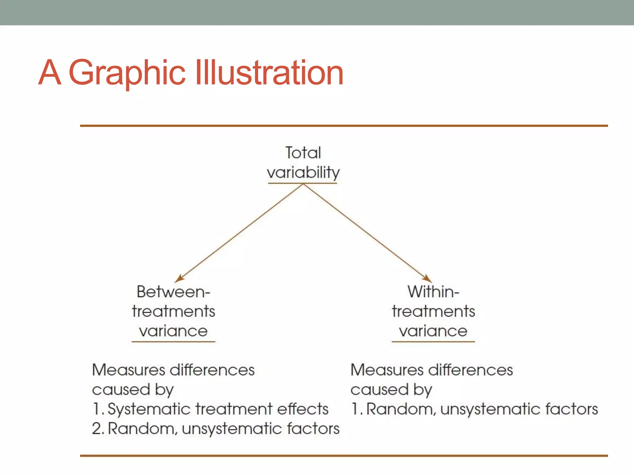 A Graphic Illustration
 