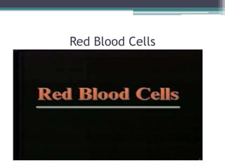Red Blood Cells 