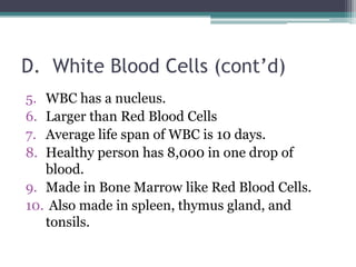 D.  White Blood Cells (cont’d)WBC has a nucleus. Larger than Red Blood CellsAverage life span of WBC is 10 days. Healthy person has 8,000 in one drop of blood. Made in Bone Marrow like Red Blood Cells.  Also made in spleen, thymus gland, and tonsils.