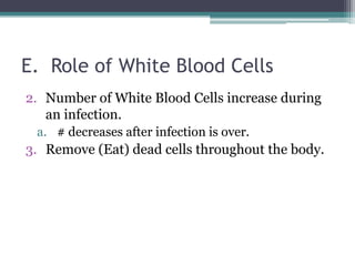 E.  Role of White Blood CellsNumber of White Blood Cells increase during an infection.# decreases after infection is over. Remove (Eat) dead cells throughout the body. 