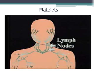 Platelets