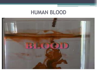 HUMAN BLOOD