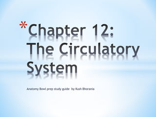 Anatomy Bowl prep study guide by Kush Bhorania
*
 