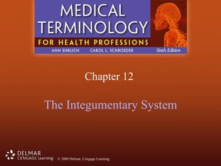 Chapter 12  The Integumentary System 